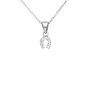 Elegant Silver Horseshoe Necklace - Bohemian Statement Jewelry for Wedding, Engagement, Bridesmaid Gifts - Lucky Charm Pendant for Birthday Celebrations - Image 1